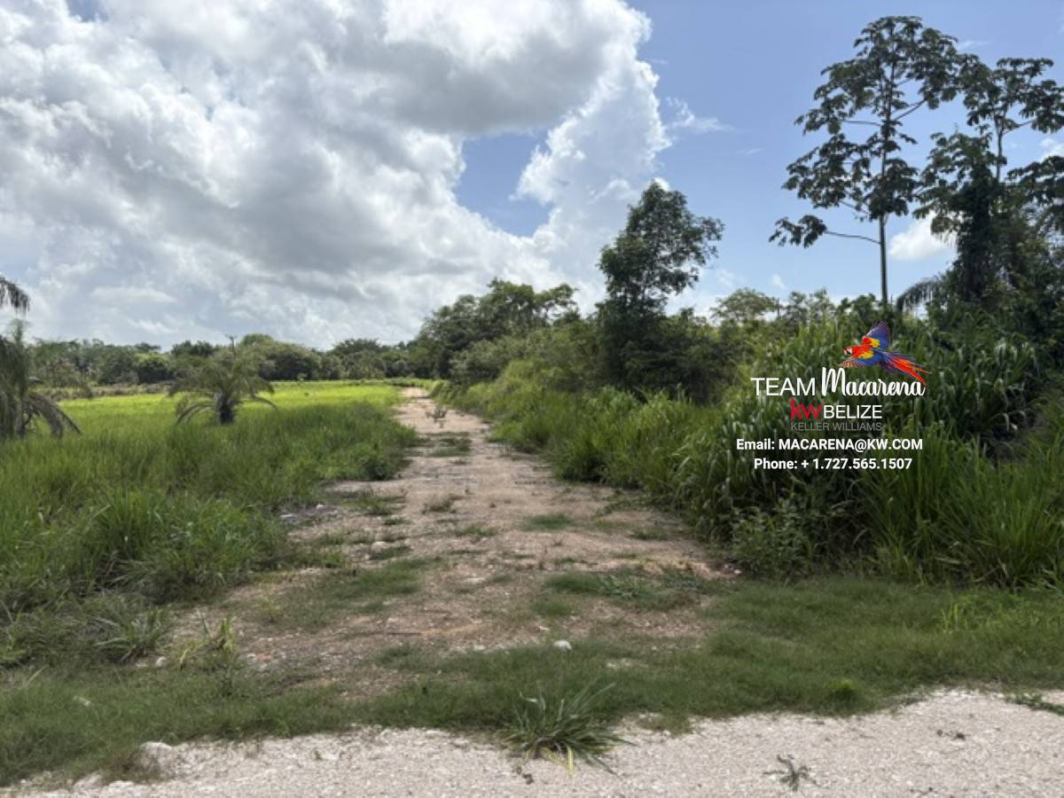 Prime Development Opportunit11 Prime Development Opportunity: 21 Residential Lots for Sale Near Belmopan