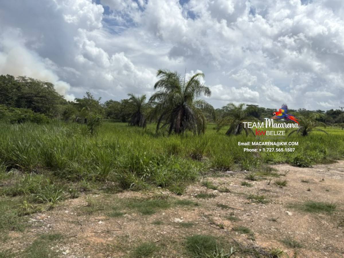 Prime Development Opportunit12 Prime Development Opportunity: 21 Residential Lots for Sale Near Belmopan