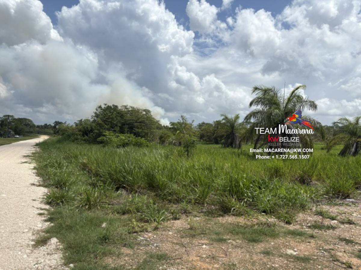 Prime Development Opportunit13 Prime Development Opportunity: 21 Residential Lots for Sale Near Belmopan
