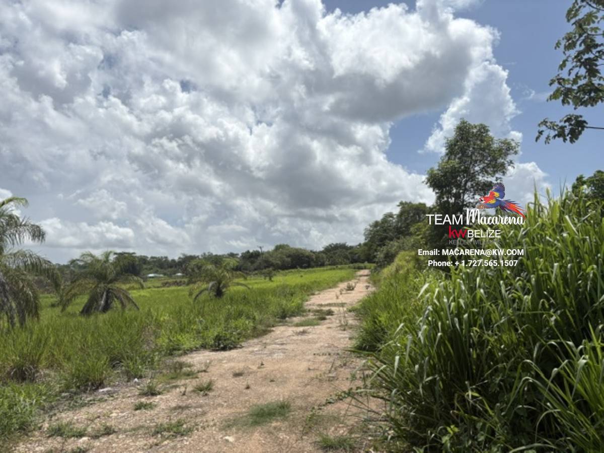 Prime Development Opportunit14 Prime Development Opportunity: 21 Residential Lots for Sale Near Belmopan
