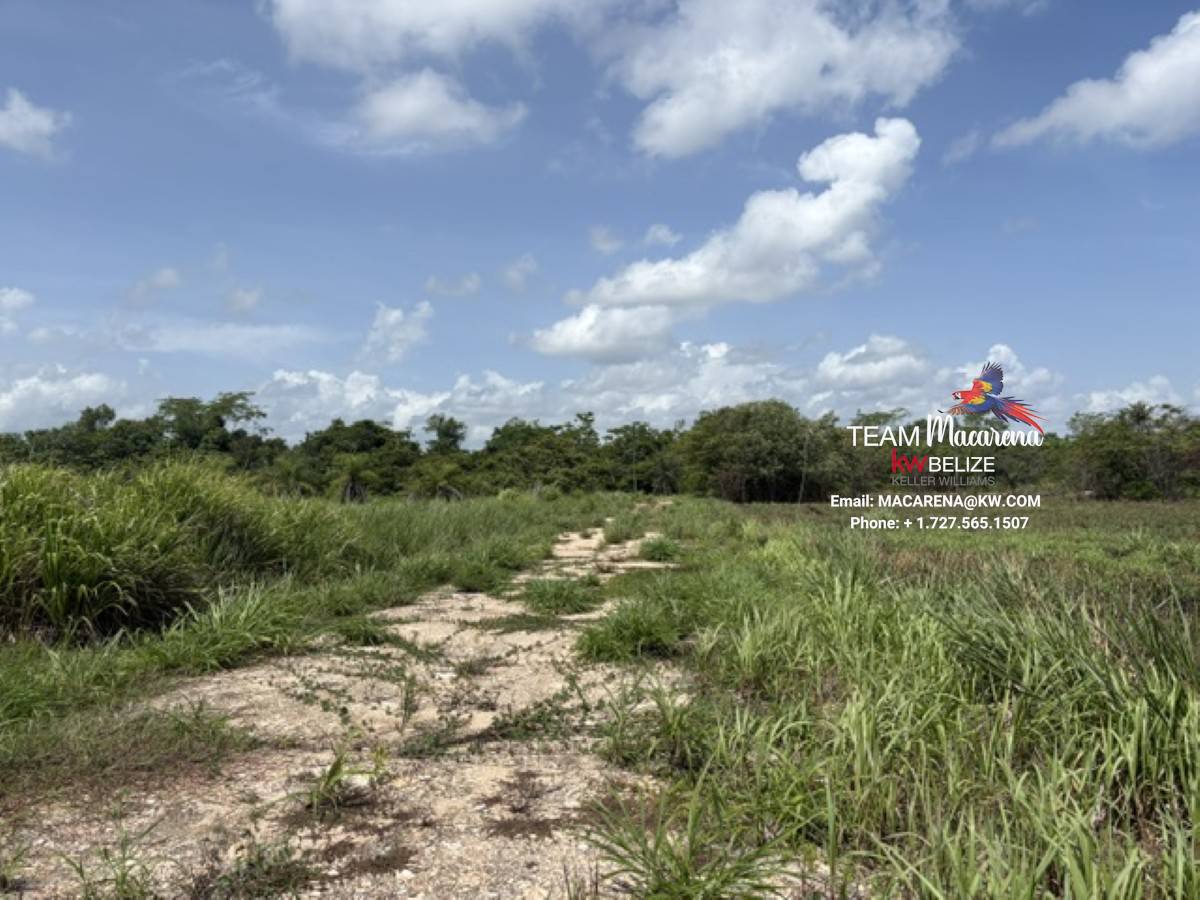 Prime Development Opportunit2 Prime Development Opportunity: 21 Residential Lots for Sale Near Belmopan