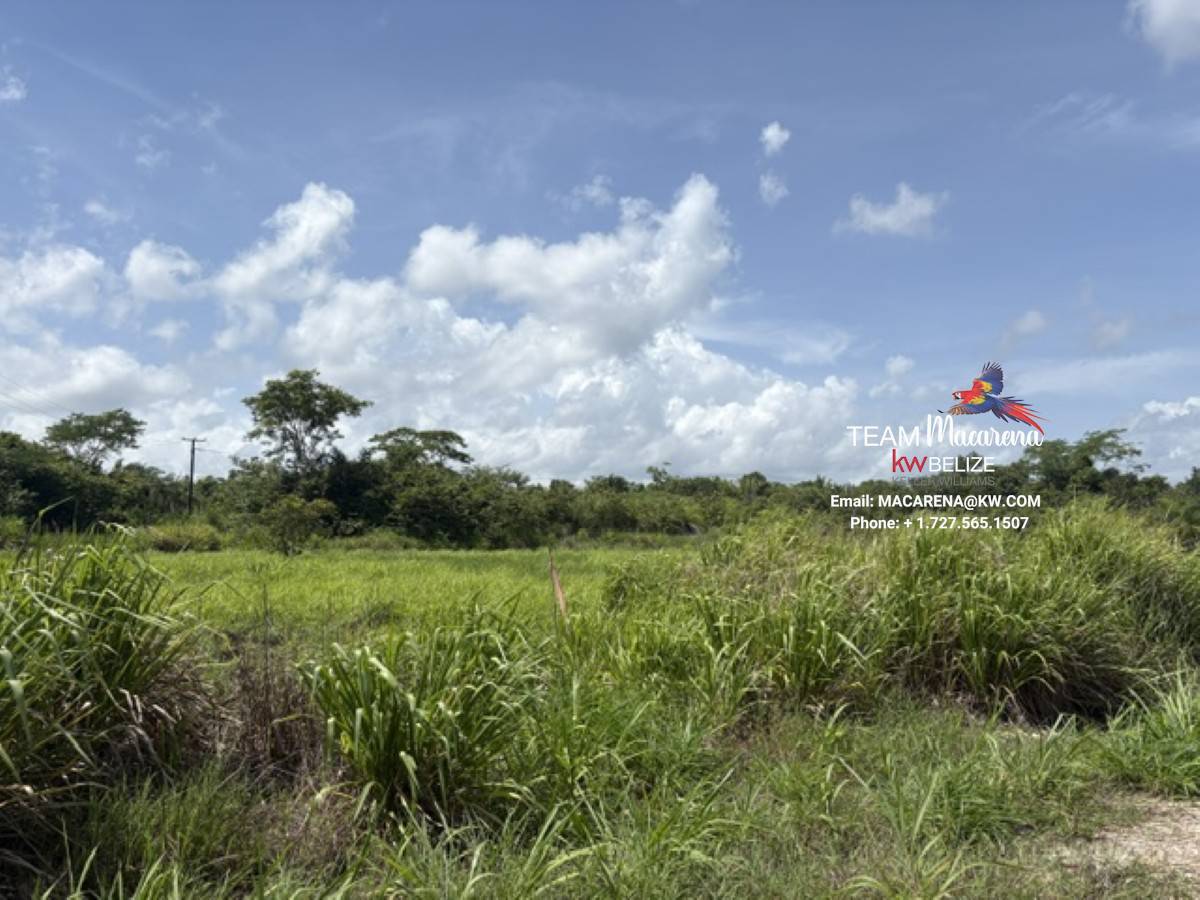Prime Development Opportunit3 Prime Development Opportunity: 21 Residential Lots for Sale Near Belmopan