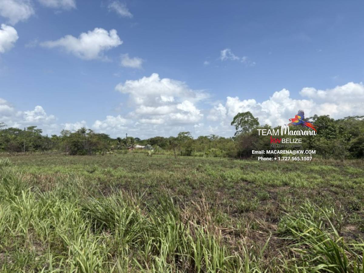 Prime Development Opportunit4 Prime Development Opportunity: 21 Residential Lots for Sale Near Belmopan