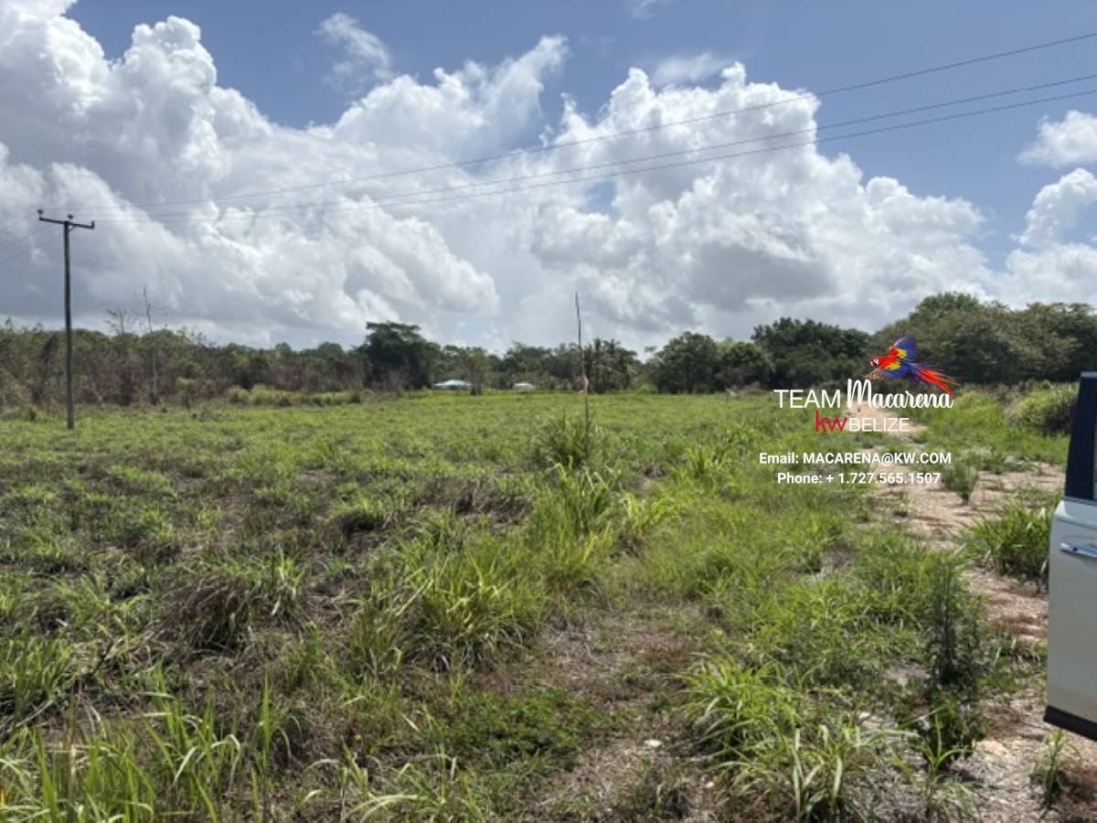 Prime Development Opportunit5 Prime Development Opportunity: 21 Residential Lots for Sale Near Belmopan