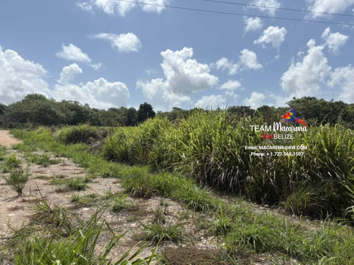 Prime Development Opportunit6 Prime Development Opportunity: 21 Residential Lots for Sale Near Belmopan