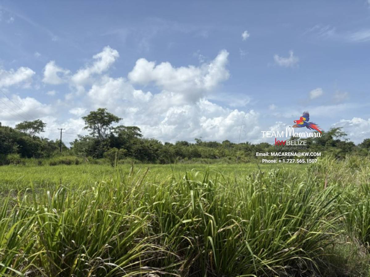 Prime Development Opportunit7 Prime Development Opportunity: 21 Residential Lots for Sale Near Belmopan
