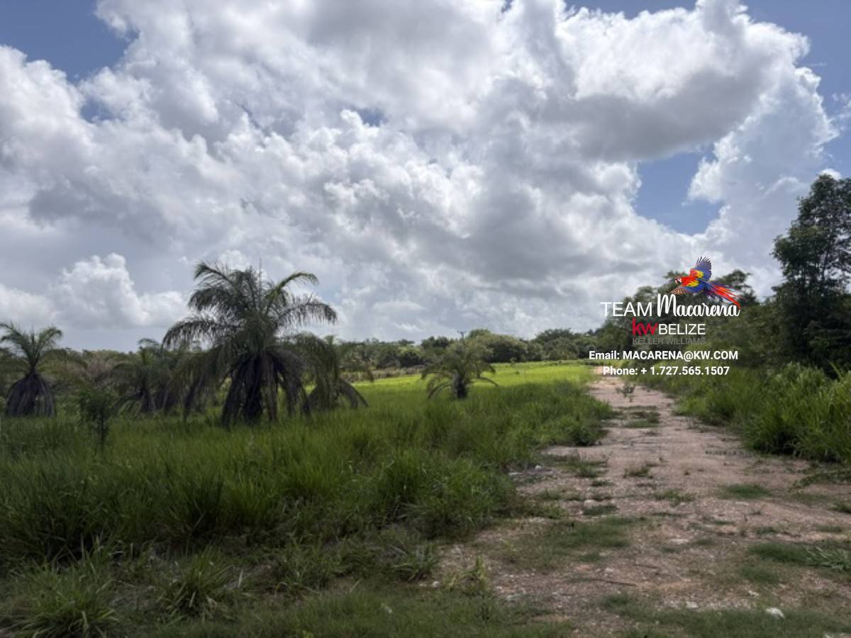 Prime Development Opportunit8 Prime Development Opportunity: 21 Residential Lots for Sale Near Belmopan