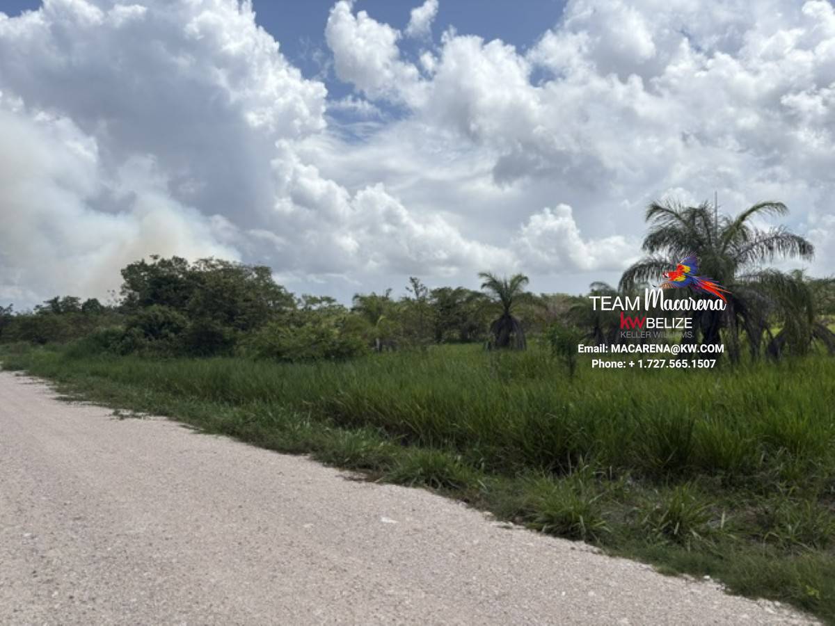 Prime Development Opportunit9 Prime Development Opportunity: 21 Residential Lots for Sale Near Belmopan