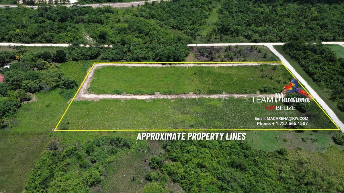 Prime Development Opportunity: 21 Residential Lots for Sale Near Belmopan