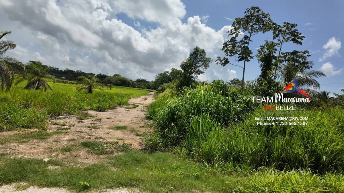 Prime Development Opportunity: 21 Residential Lots for Sale Near Belmopan