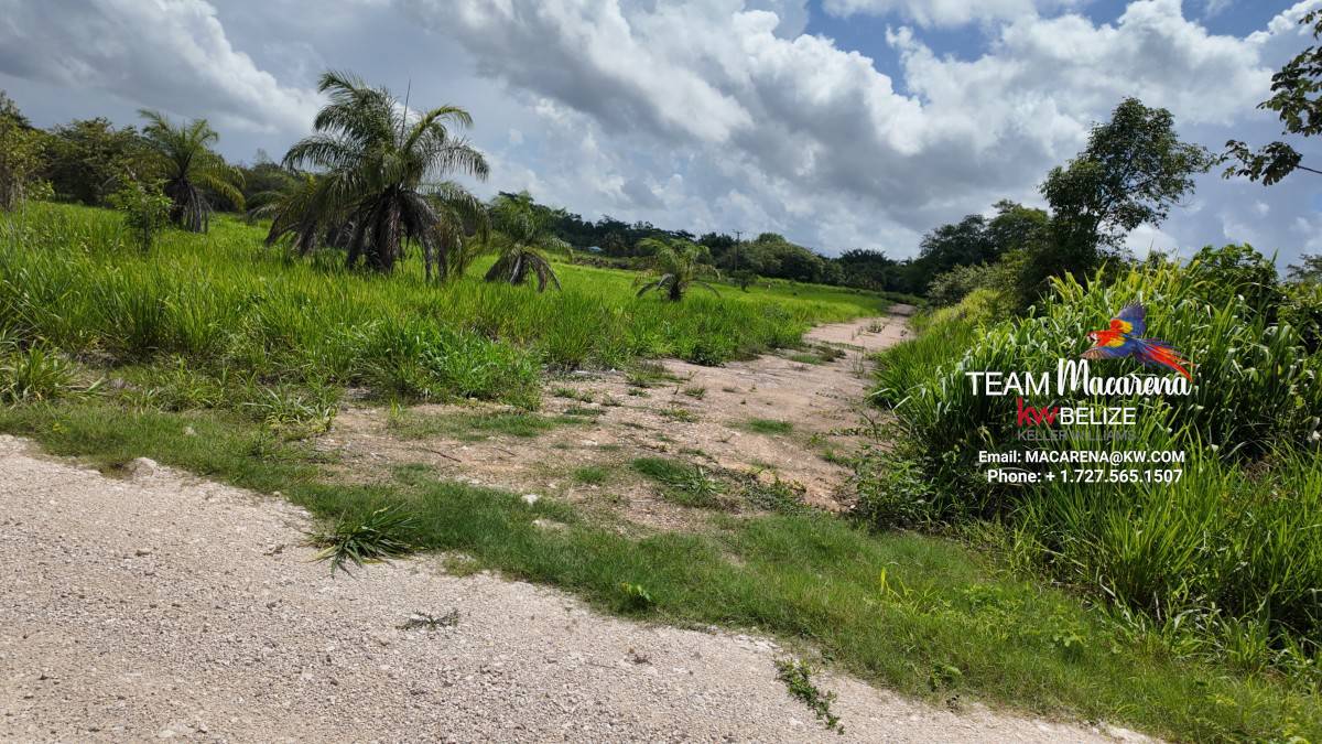 Prime Development Opportunity: 21 Residential Lots for Sale Near Belmopan