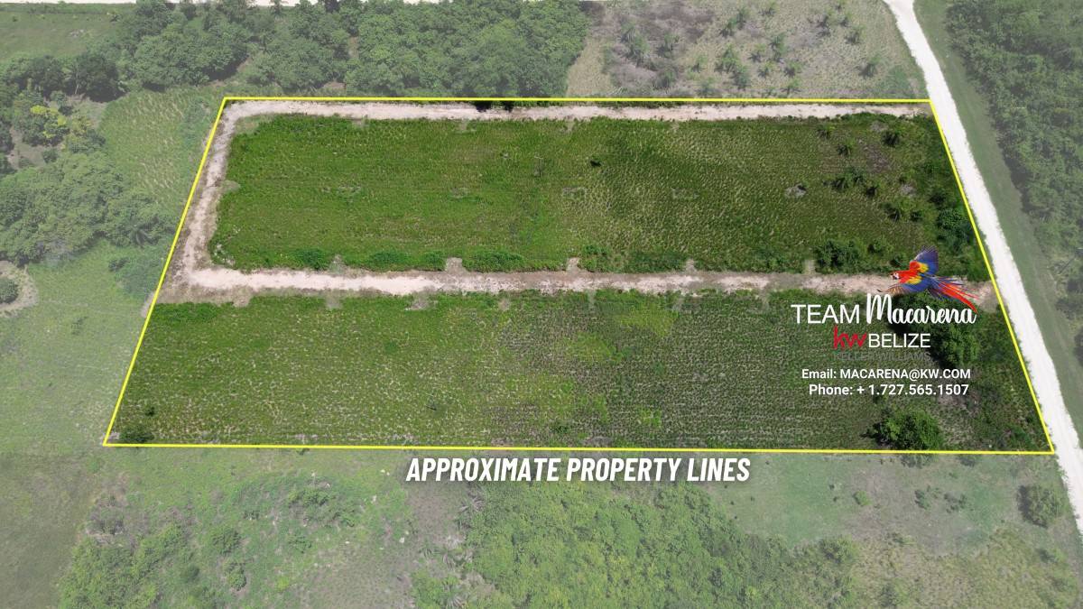 Prime Development Opportunity: 21 Residential Lots for Sale Near Belmopan