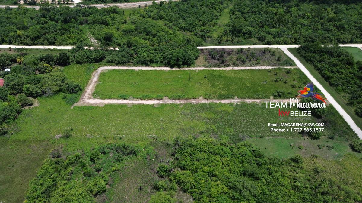 Prime Development Opportunity: 21 Residential Lots for Sale Near Belmopan