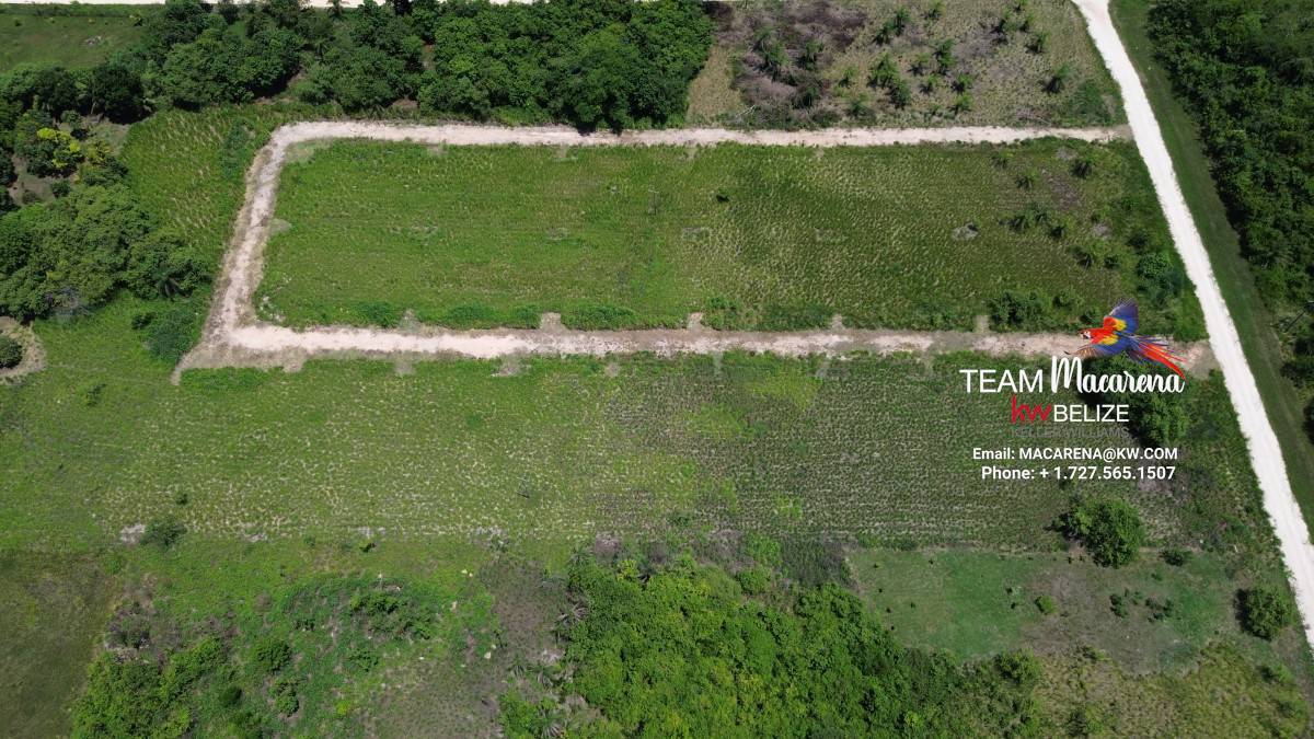 Prime Development Opportunity: 21 Residential Lots for Sale Near Belmopan