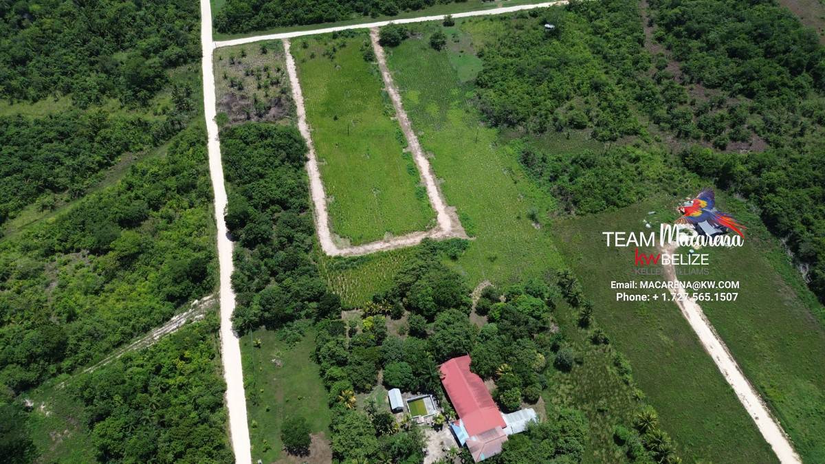 Prime Development Opportunity