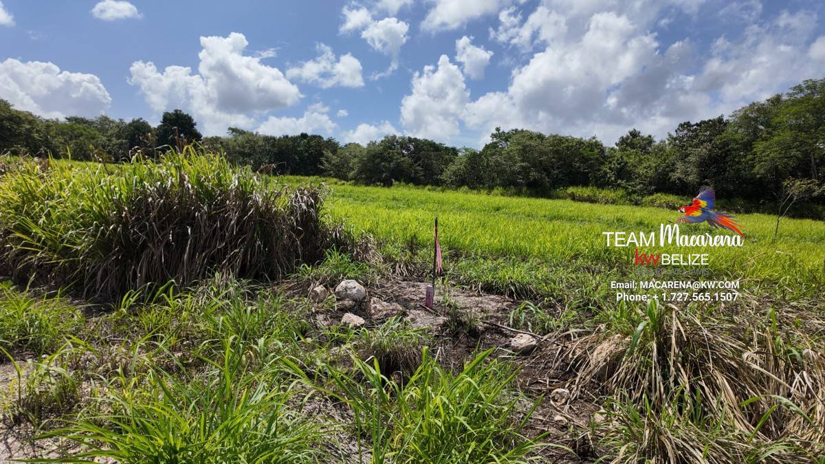 Prime Development Opportunity: 21 Residential Lots for Sale Near Belmopan