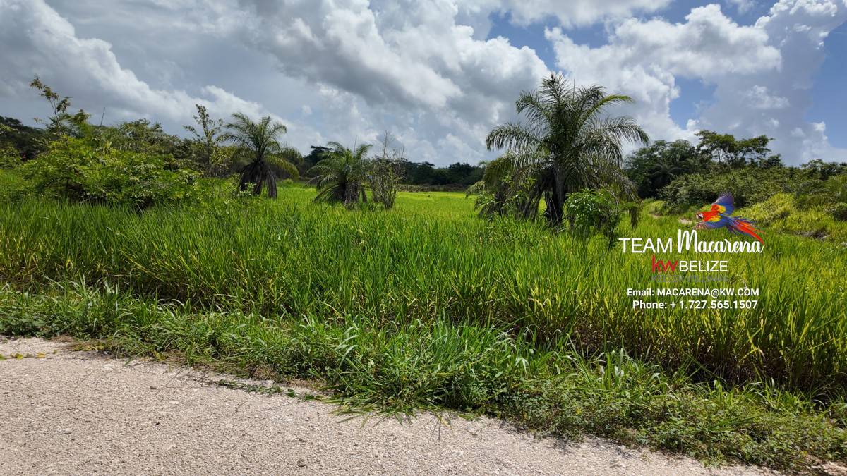 Prime Development Opportunity: 21 Residential Lots for Sale Near Belmopan