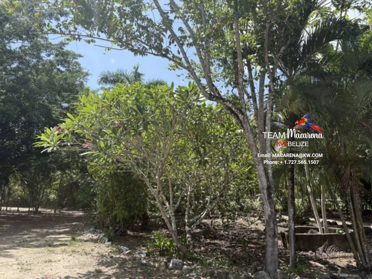 Super Palm Resort: A Resort Development Opportunity Near Belmopan