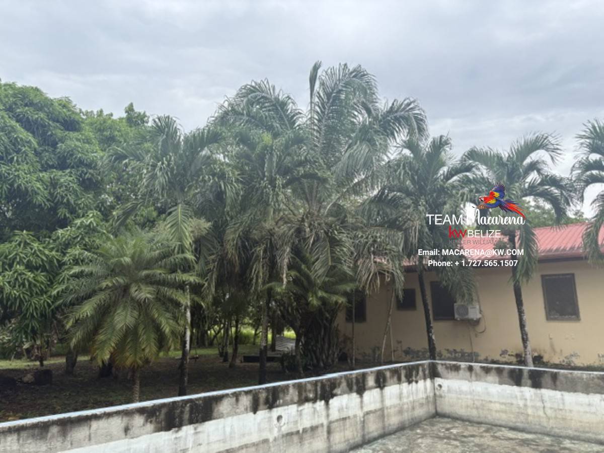 Super Palm Resort: A Resort Development Opportunity Near Belmopan
