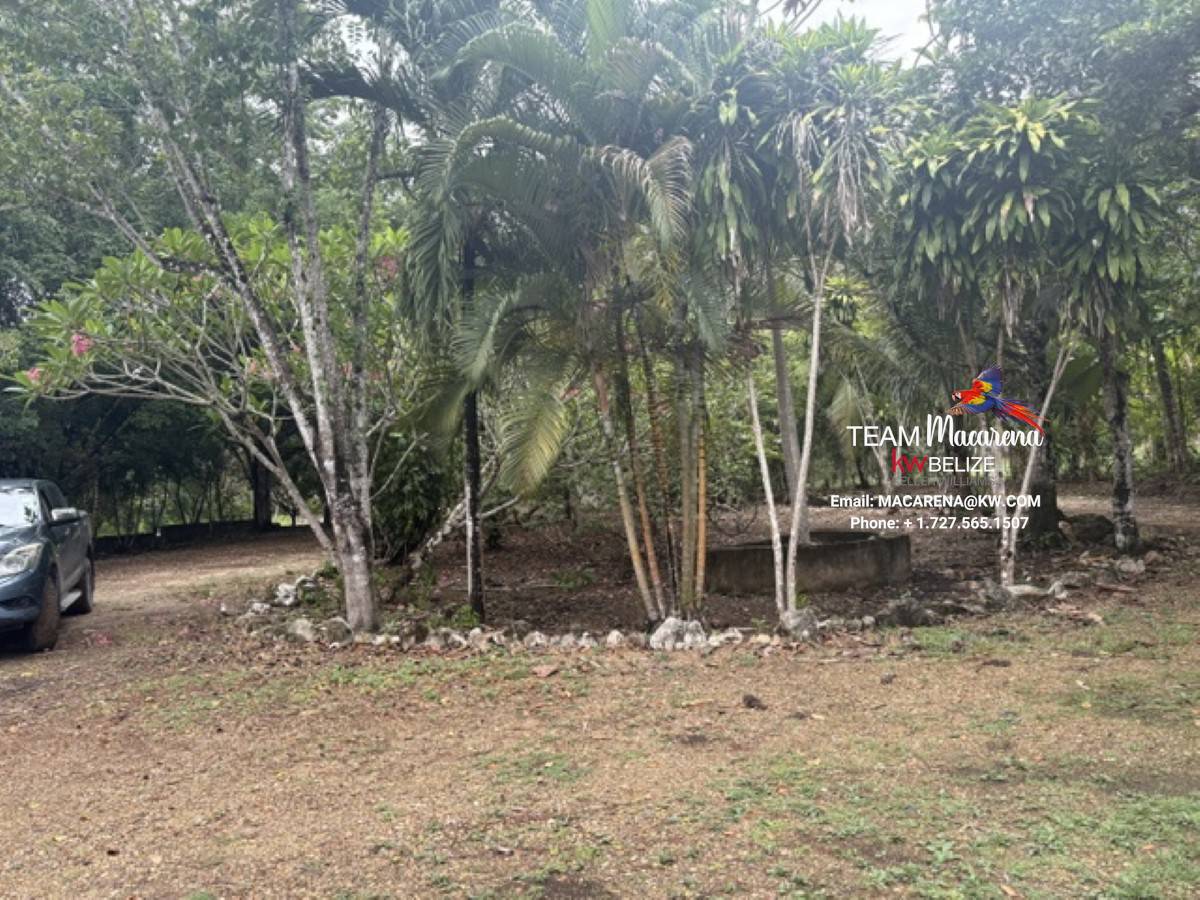 Super Palm Resort: A Resort Development Opportunity Near Belmopan
