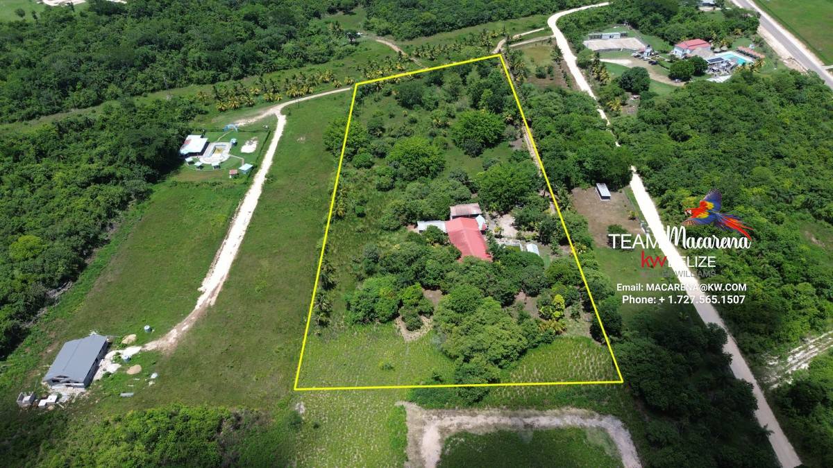 Resort Development Opportunity5 Super Palm Resort: A Resort Development Opportunity Near Belmopan