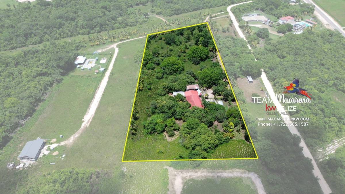 Resort Development Opportunity6 Super Palm Resort: A Resort Development Opportunity Near Belmopan