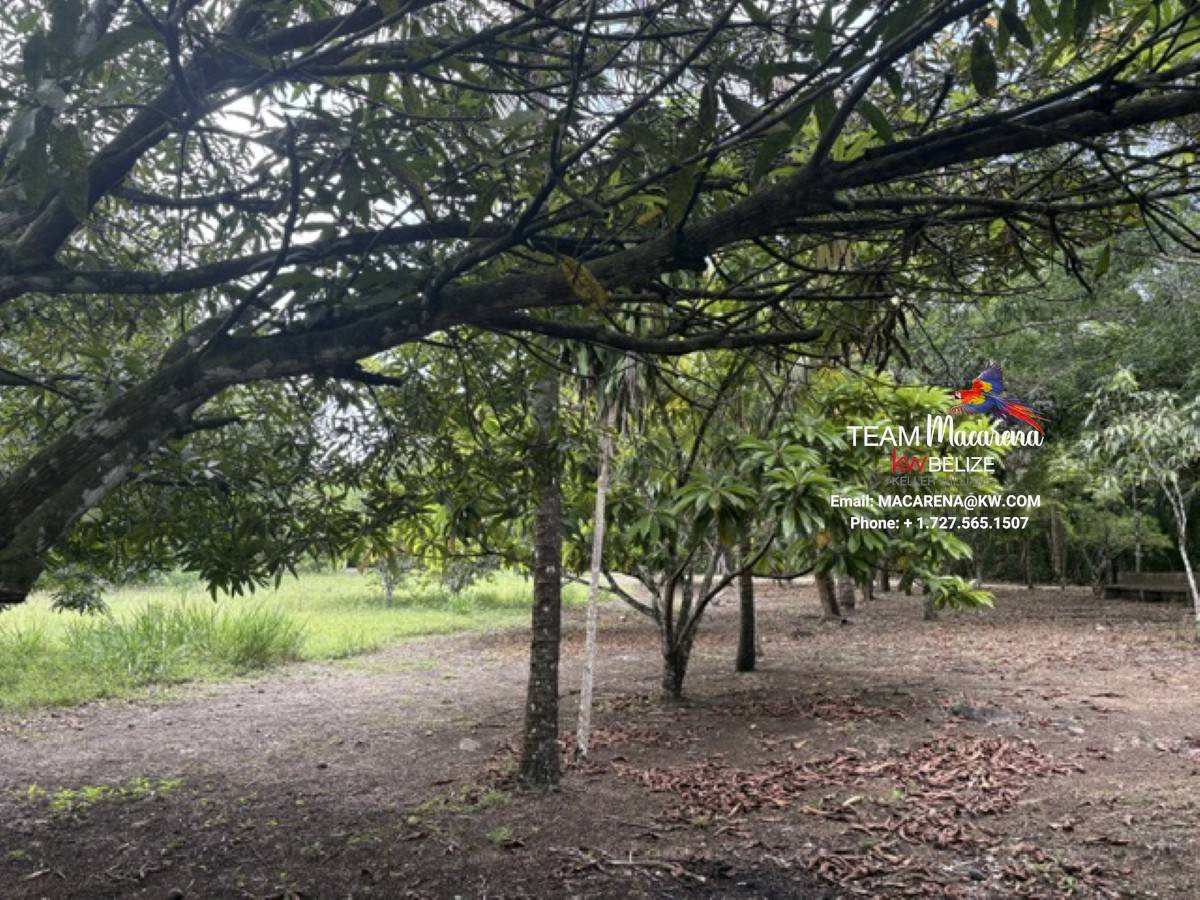 Super Palm Resort: A Resort Development Opportunity Near Belmopan