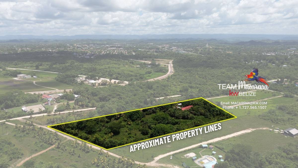 Resort Development Opportunity7 Super Palm Resort: A Resort Development Opportunity Near Belmopan