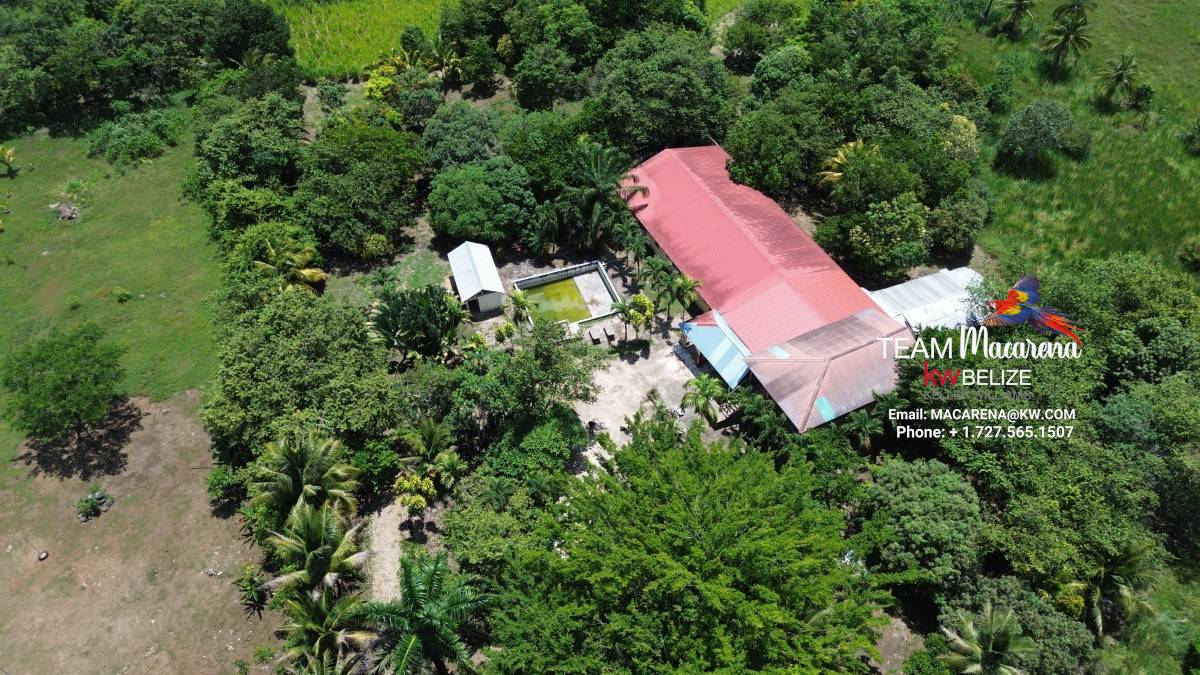 DCIM102MEDIADJI_0964.JPG Super Palm Resort: A Resort Development Opportunity Near Belmopan