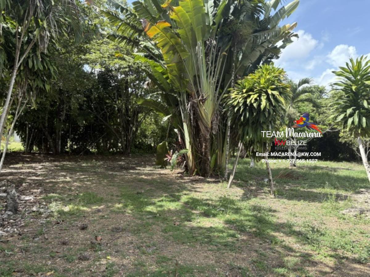 Super Palm Resort: A Resort Development Opportunity Near Belmopan