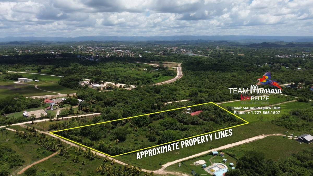 Resort Development Opportunity8 Super Palm Resort: A Resort Development Opportunity Near Belmopan