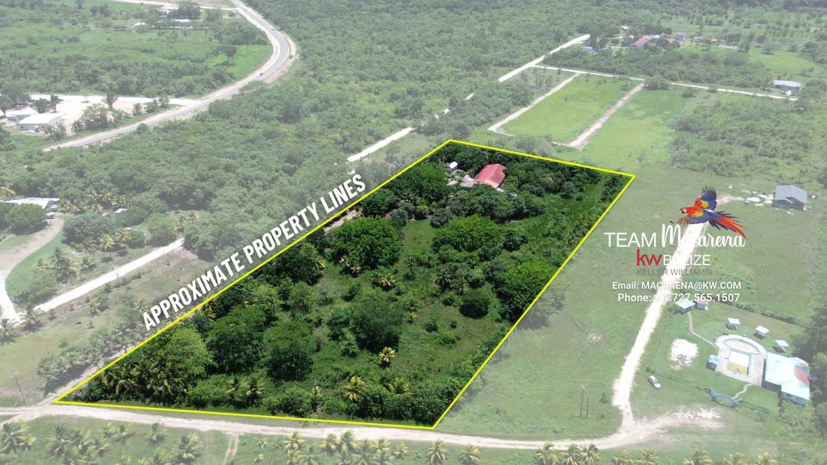 Resort Development Opportunity9 Super Palm Resort: A Resort Development Opportunity Near Belmopan