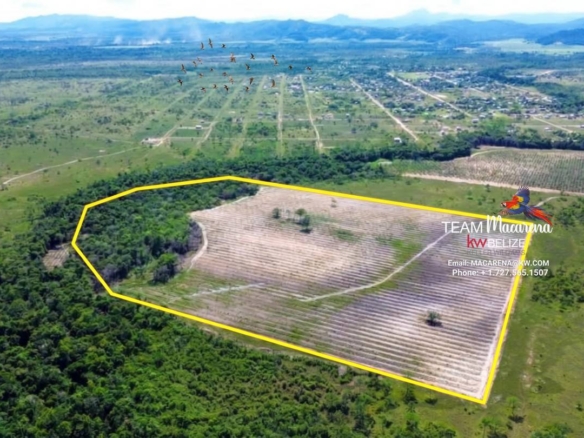 40-Acre Coconut Farm