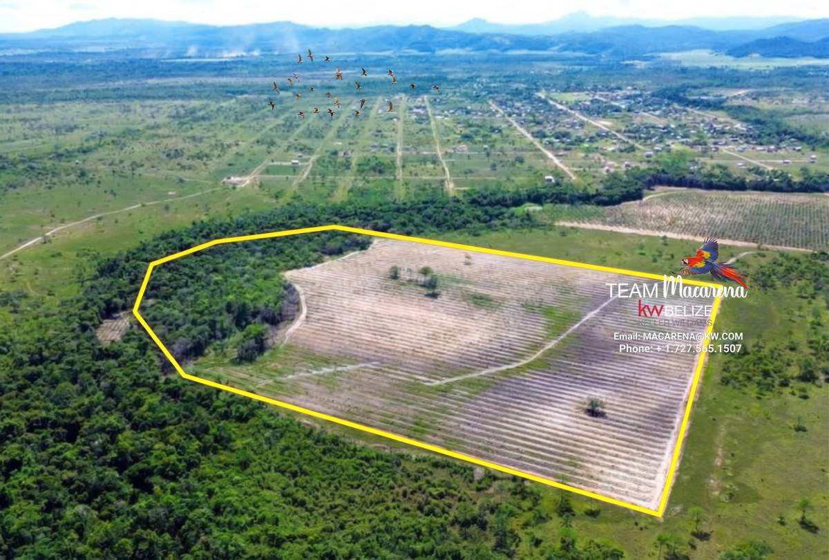 40-Acre Coconut Farm