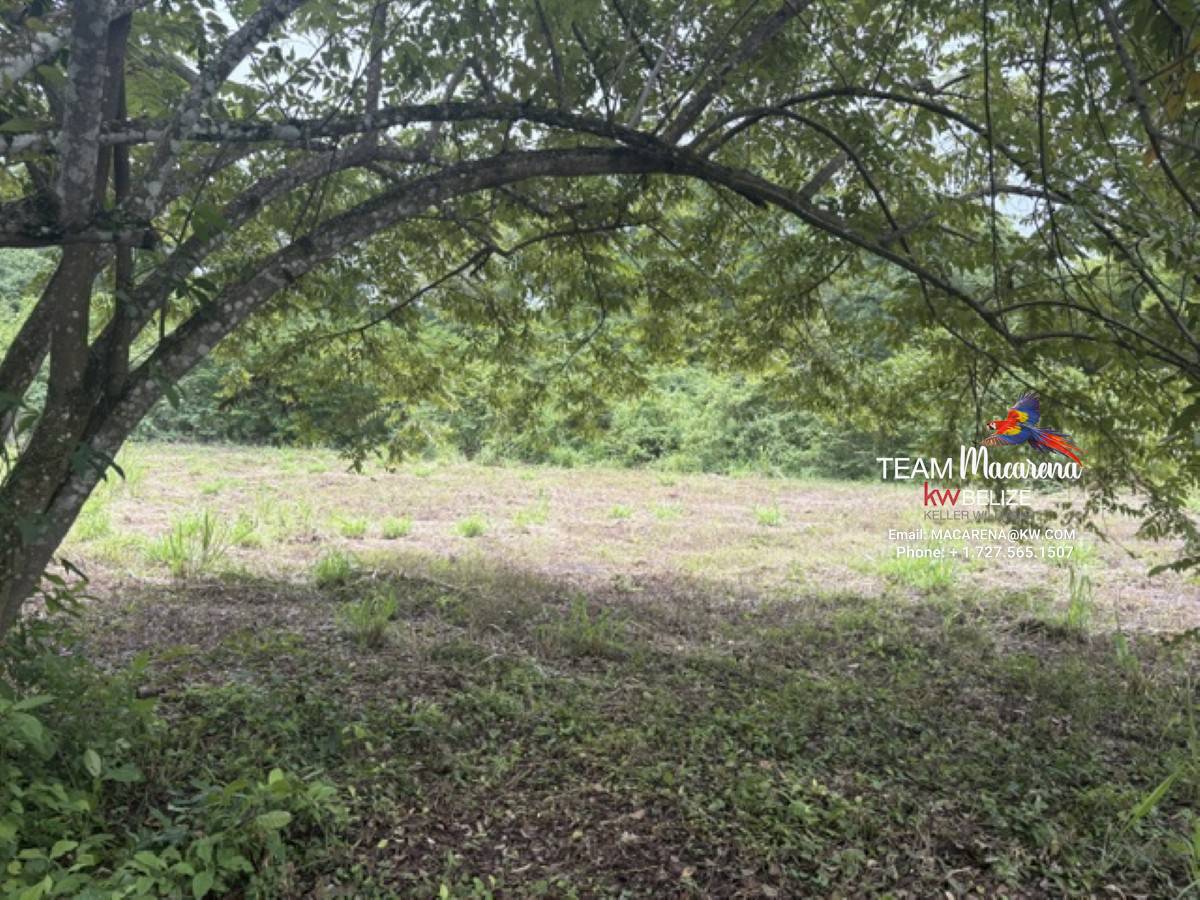 25-Acre Parcel in Bullet Tree