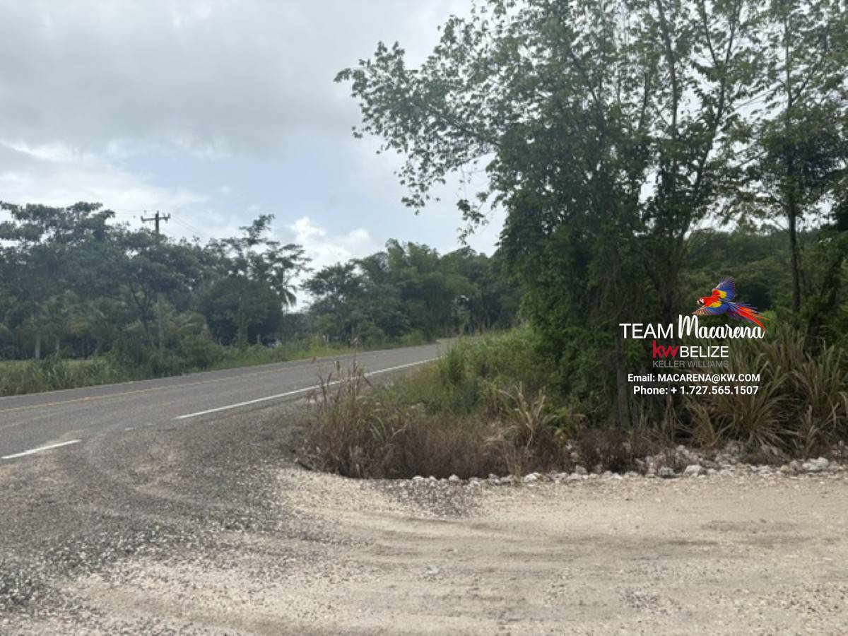 25-Acre Parcel in Bullet Tree