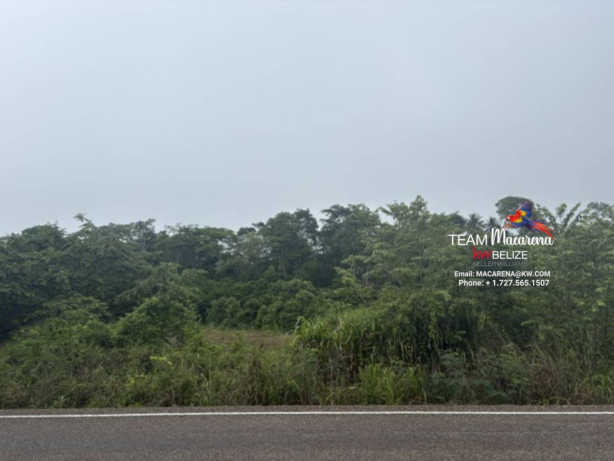 25-Acre Parcel in Bullet Tree