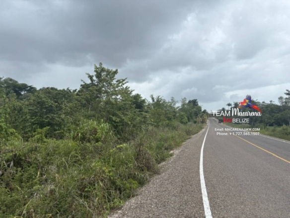 25-Acre Parcel In Bullet Tree