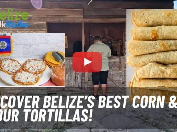 Best Corn And Flour Tortillas