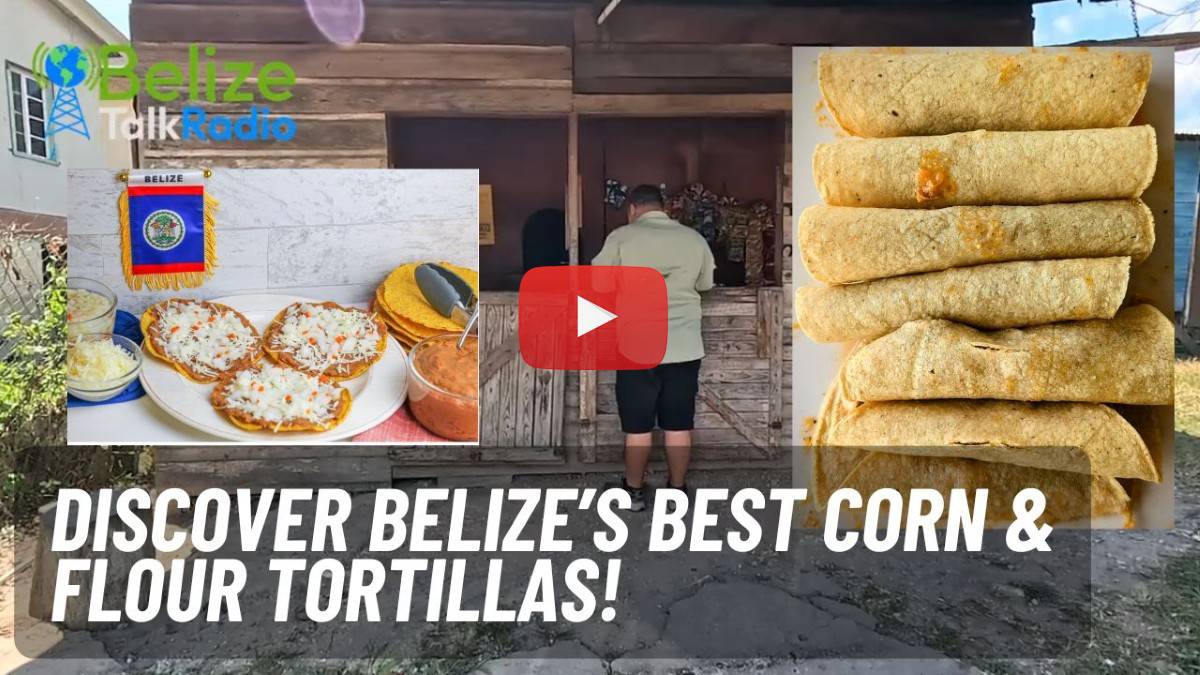 Best Corn And Flour Tortillas