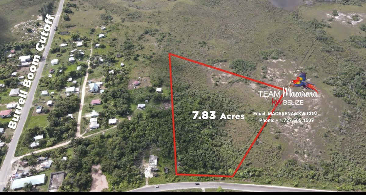 Rare Highway-Frontage Investment Opportunity Hattieville