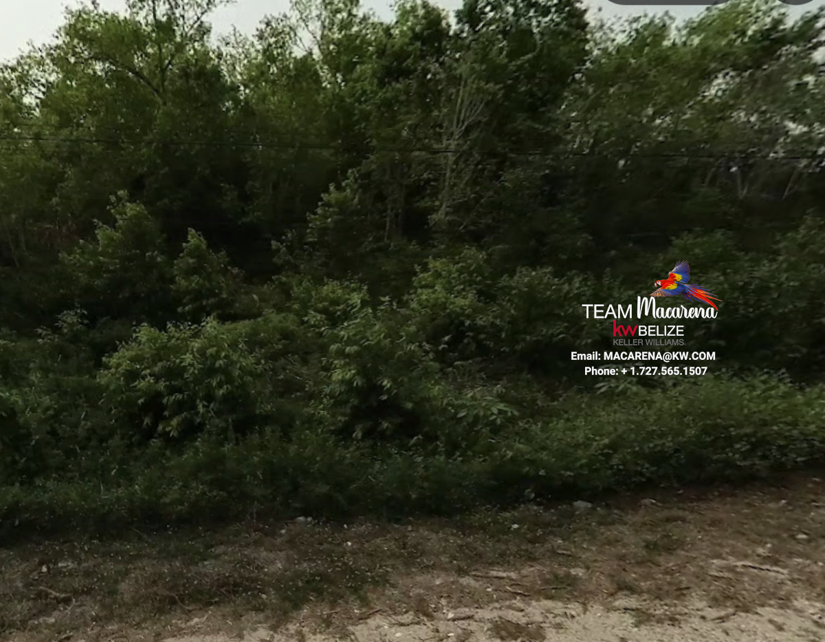 Rare Highway-Frontage Investment Opportunity Hattieville