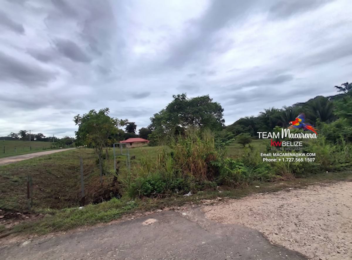 Prime Corner Parcel in Teakettle Village