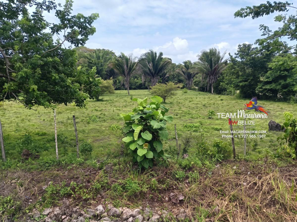 Prime Corner Parcel in Teakettle Village