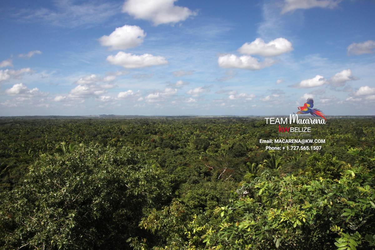 6,900-Acre Belize Investment Opportunity