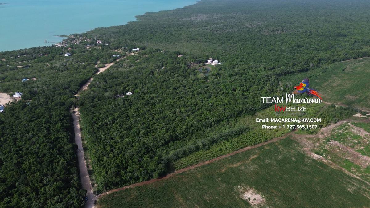 20 Acre Investment Property 20 Acre Investment Property