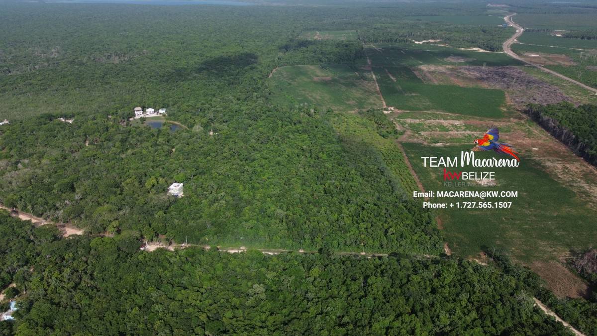 DCIM100MEDIADJI_0910.JPG 20-Acre Investment Property for Sale in Corozal