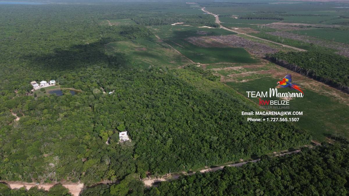 DCIM100MEDIADJI_0911.JPG 20-Acre Investment Property for Sale in Corozal