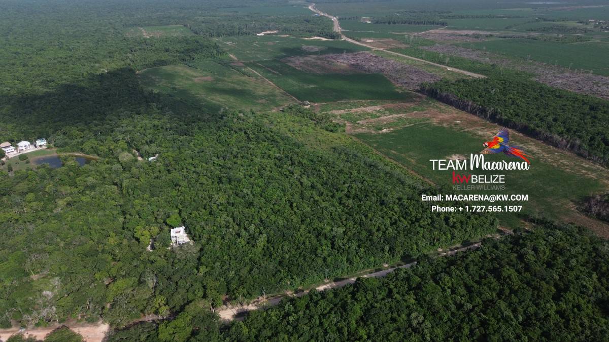 DCIM100MEDIADJI_0912.JPG 20-Acre Investment Property for Sale in Corozal