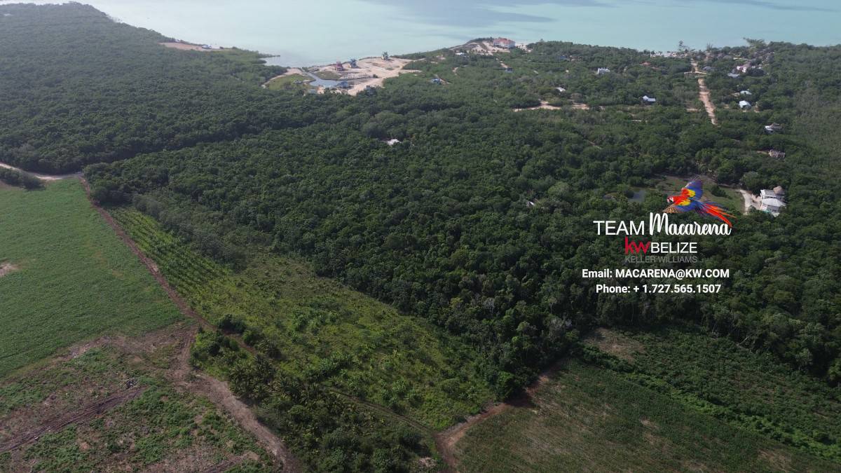 DCIM100MEDIADJI_0906.JPG 20-Acre Investment Property for Sale in Corozal